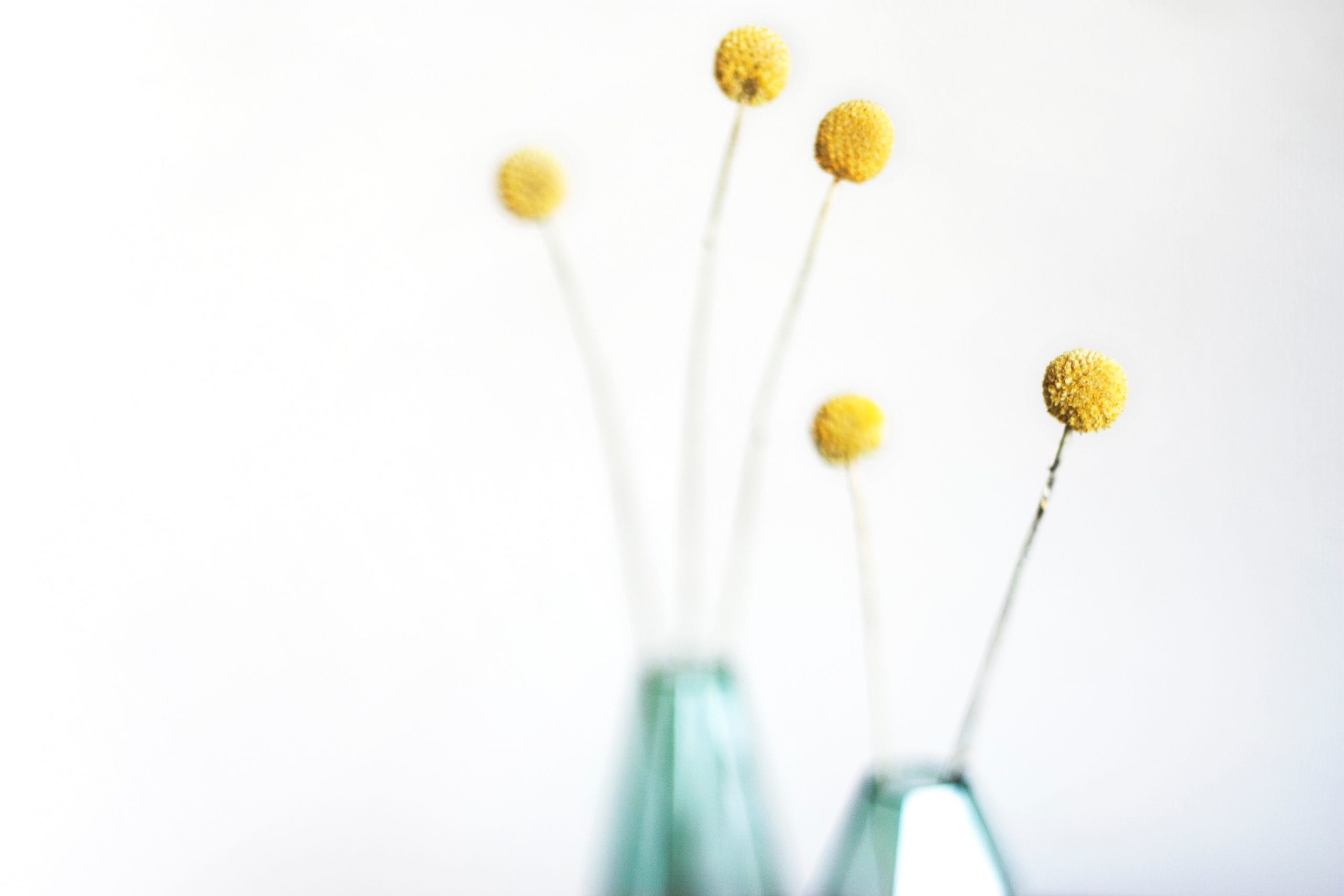 kari-shea-j0dw8kTxgmM-unsplash