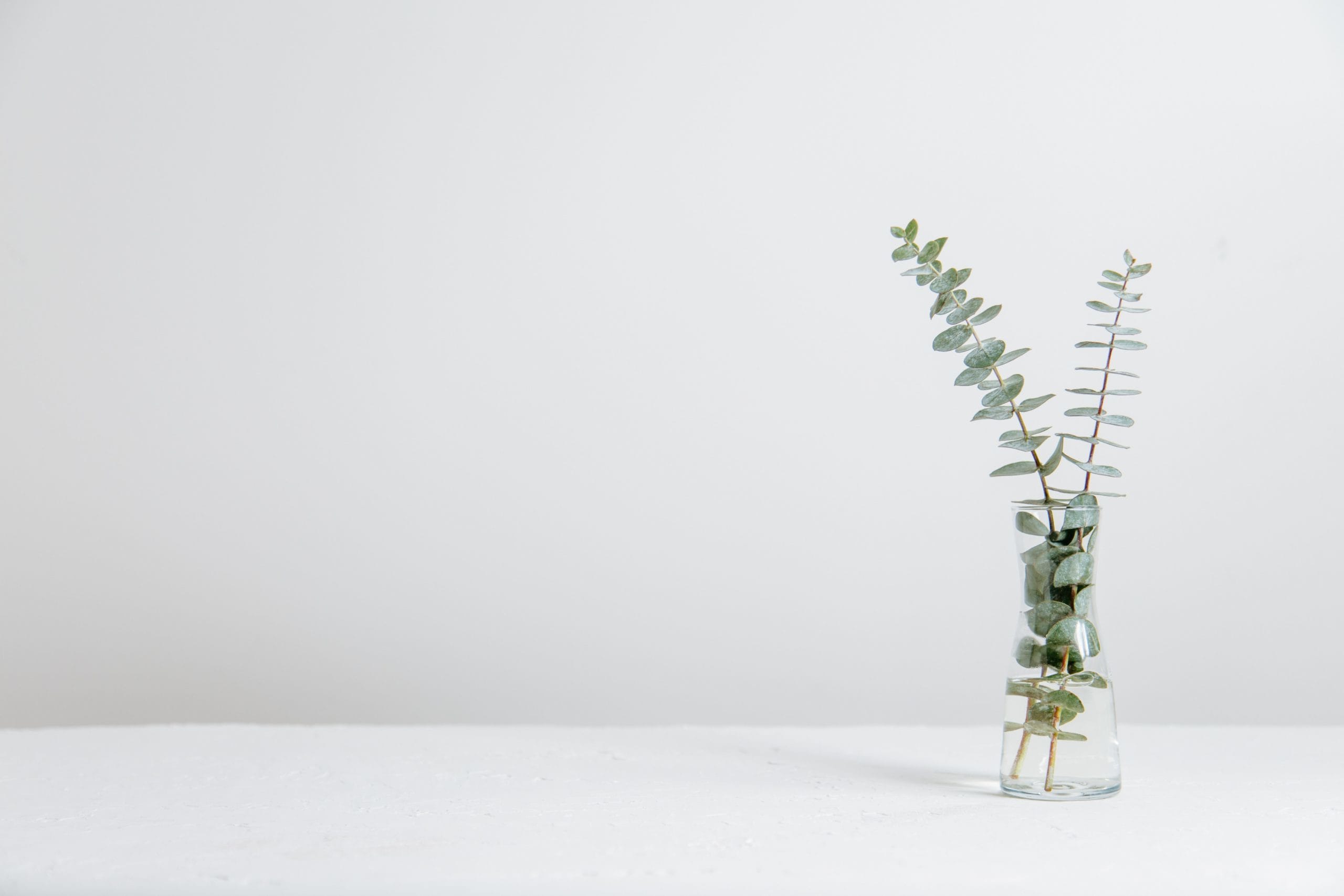 tim-chow-9IcKPSQ9G5Q-unsplash