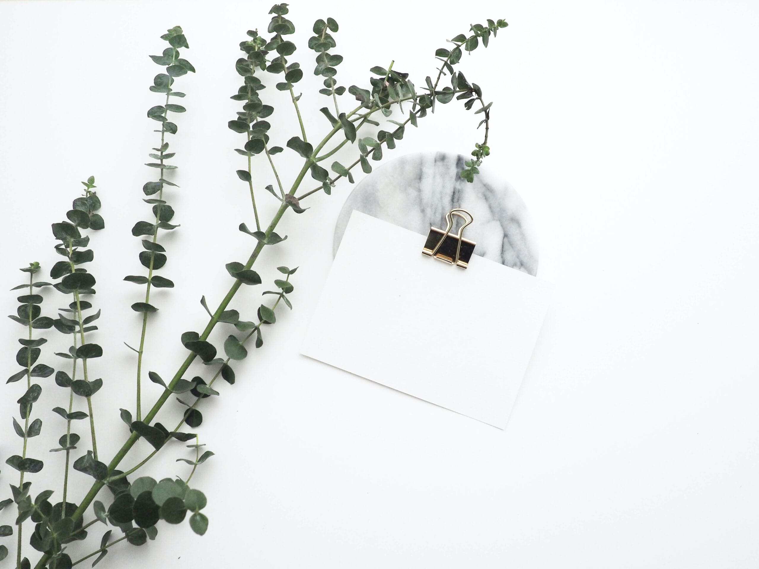 helena-hertz-WwD-LlmXp5o-unsplash