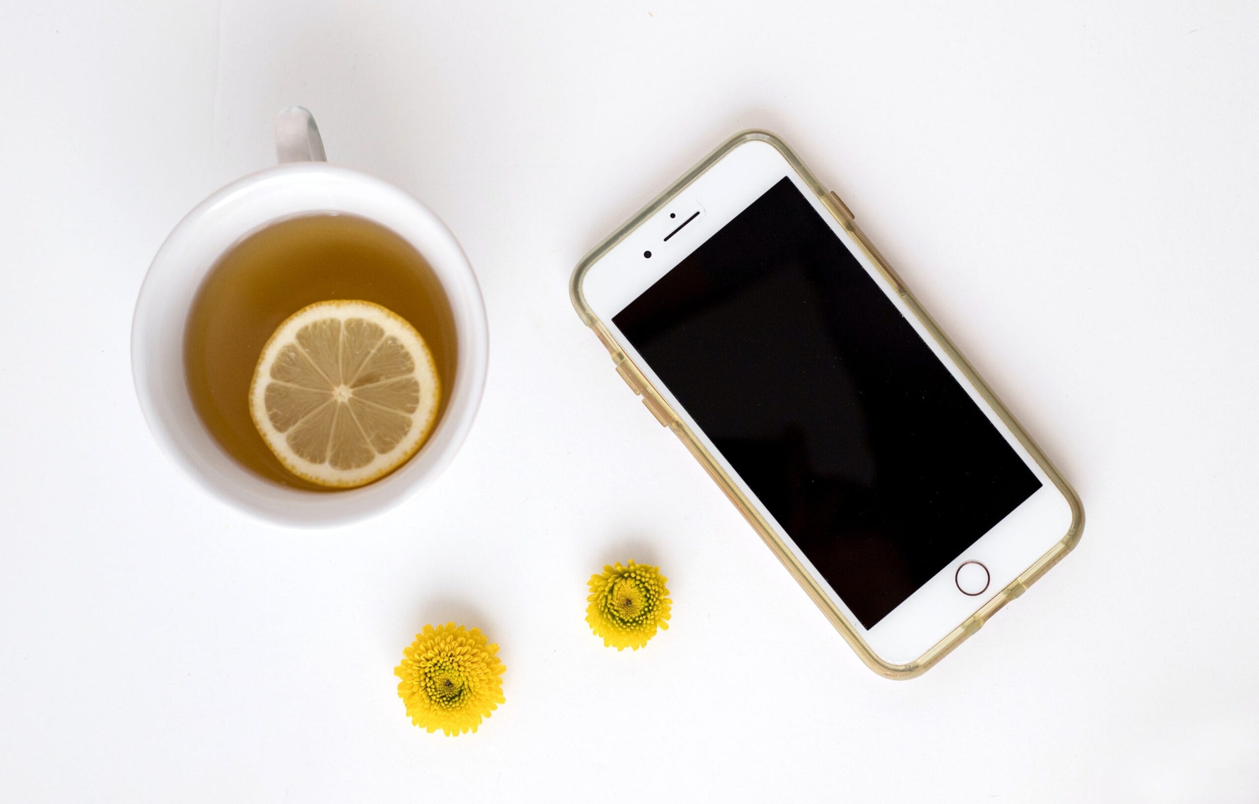 sarah-gualtieri-AYuP9Nj0DwQ-unsplash