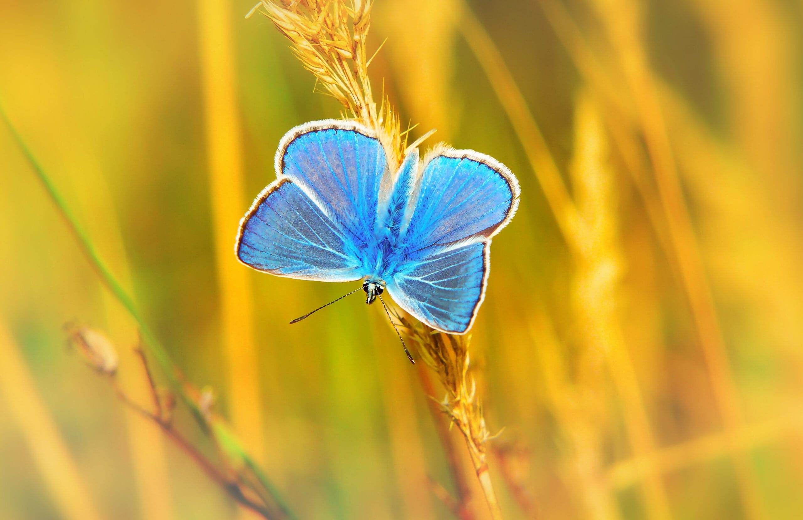 krzysztof-niewolny-sOknkfWqzvM-unsplash