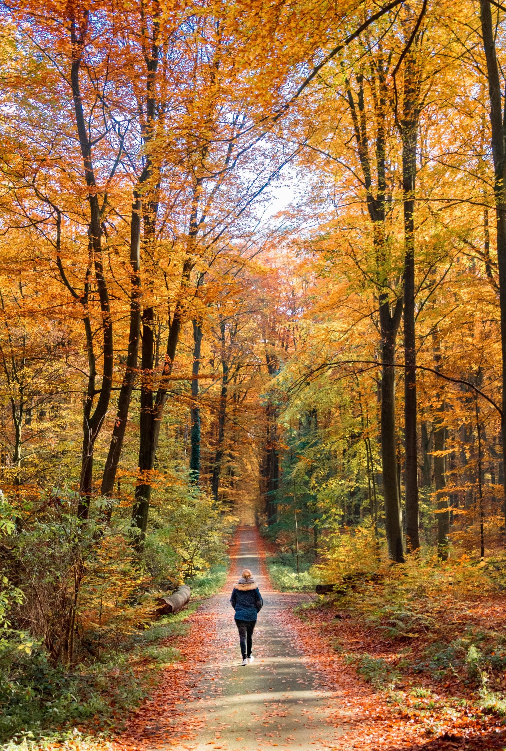 sebastien-goldberg-DznmTlyxyy4-unsplash