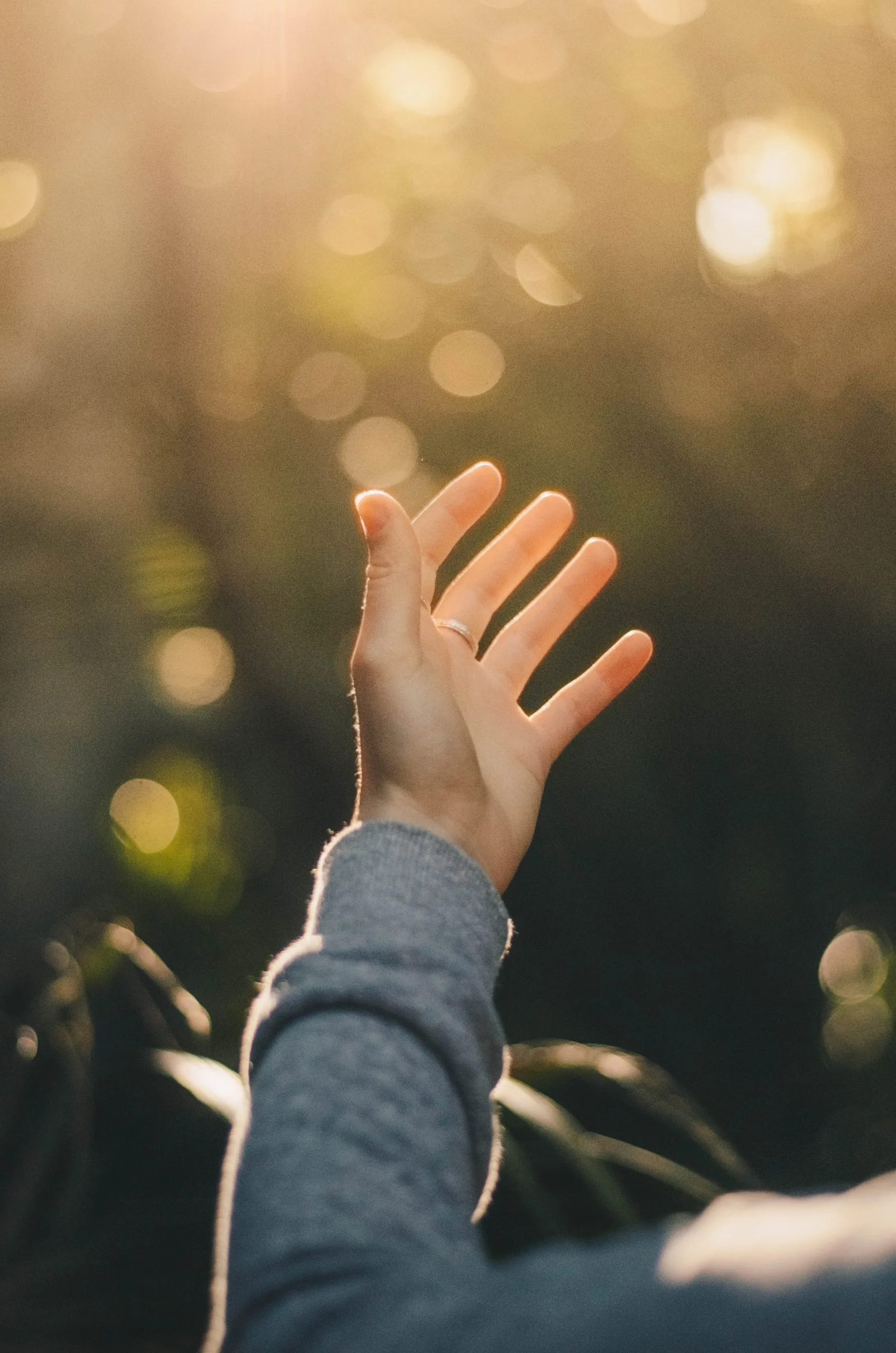 dev-benjamin-voIzq8LEdlo-unsplash