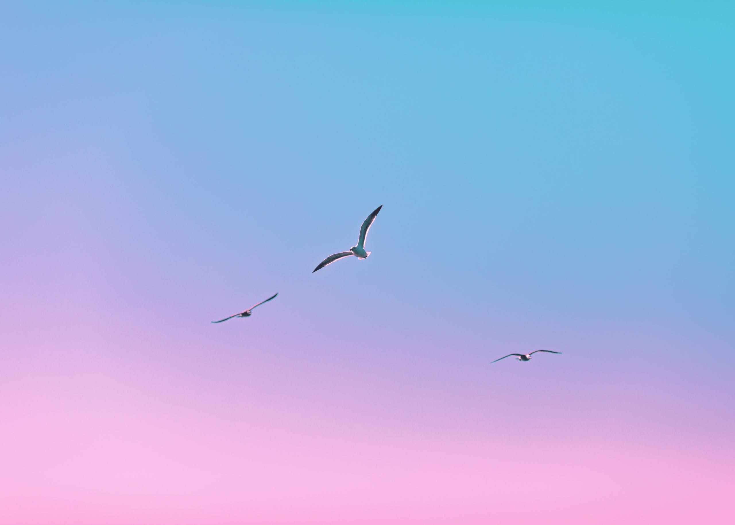 dave-3lUtceZtmIs-unsplash