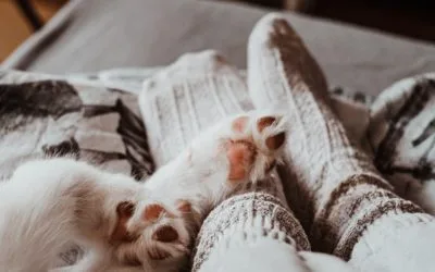 Waarom sommige mensen altijd koude voeten hebben