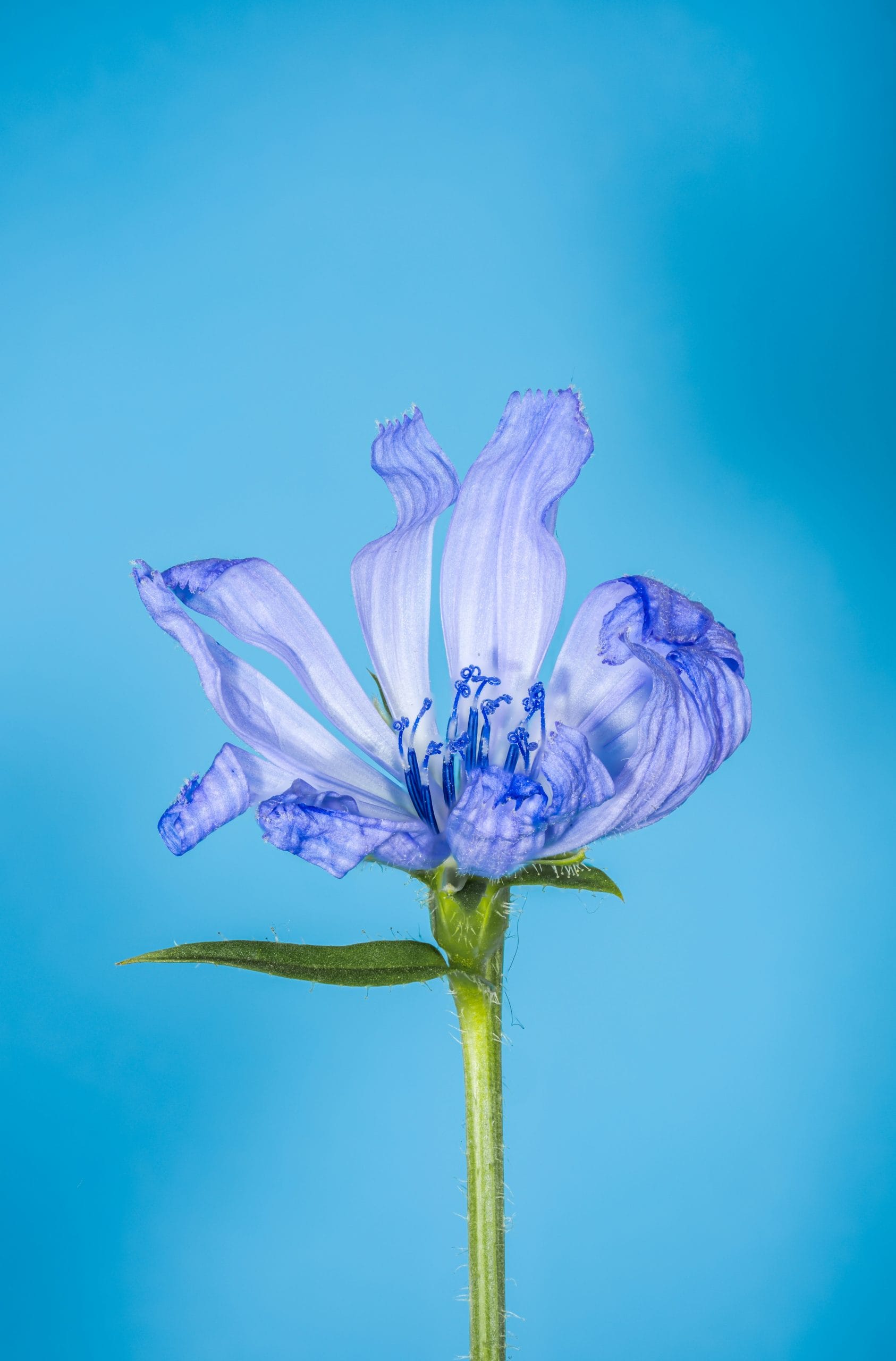 alexandre-daoust-vhXcfzTJWoM-unsplash