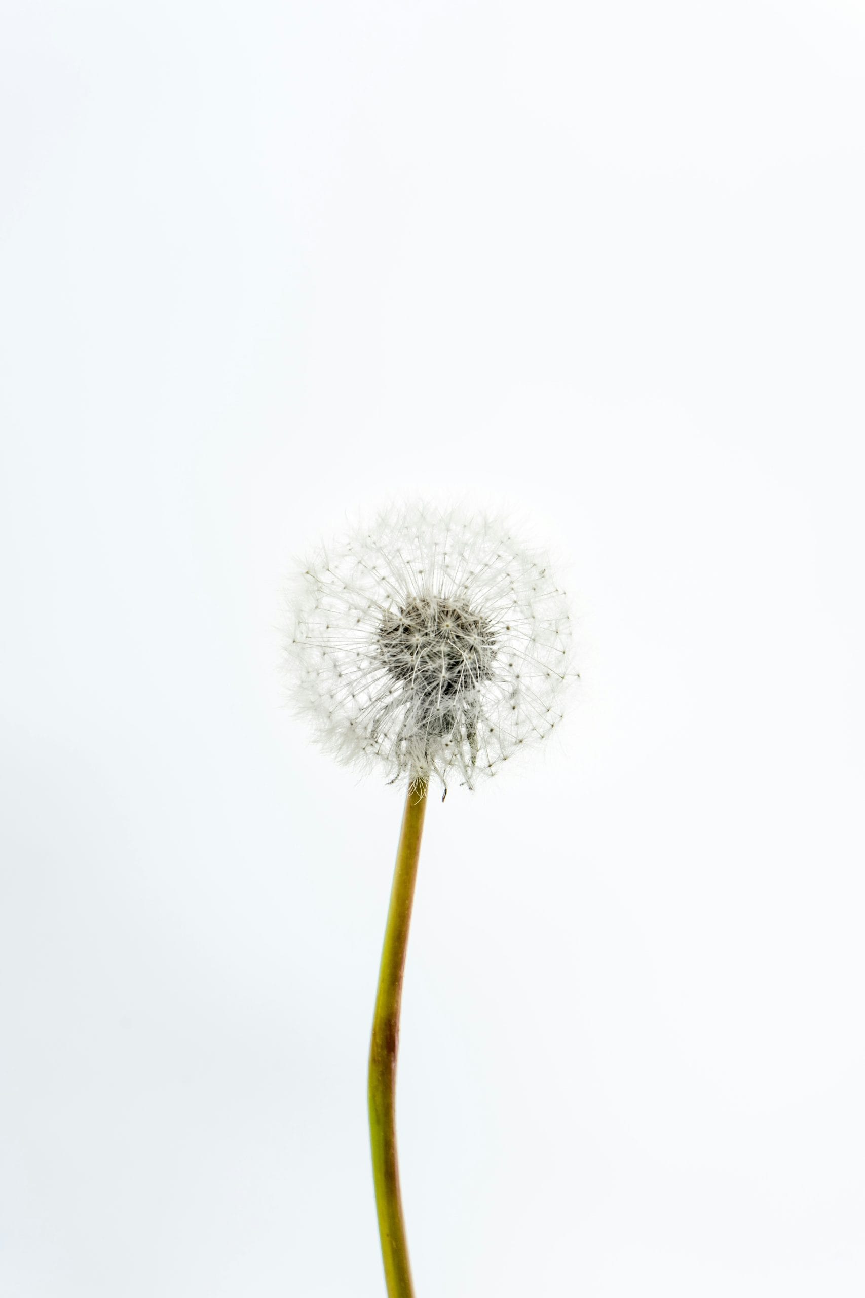 artiom-vallat-CNQSA-KfH1A-unsplash