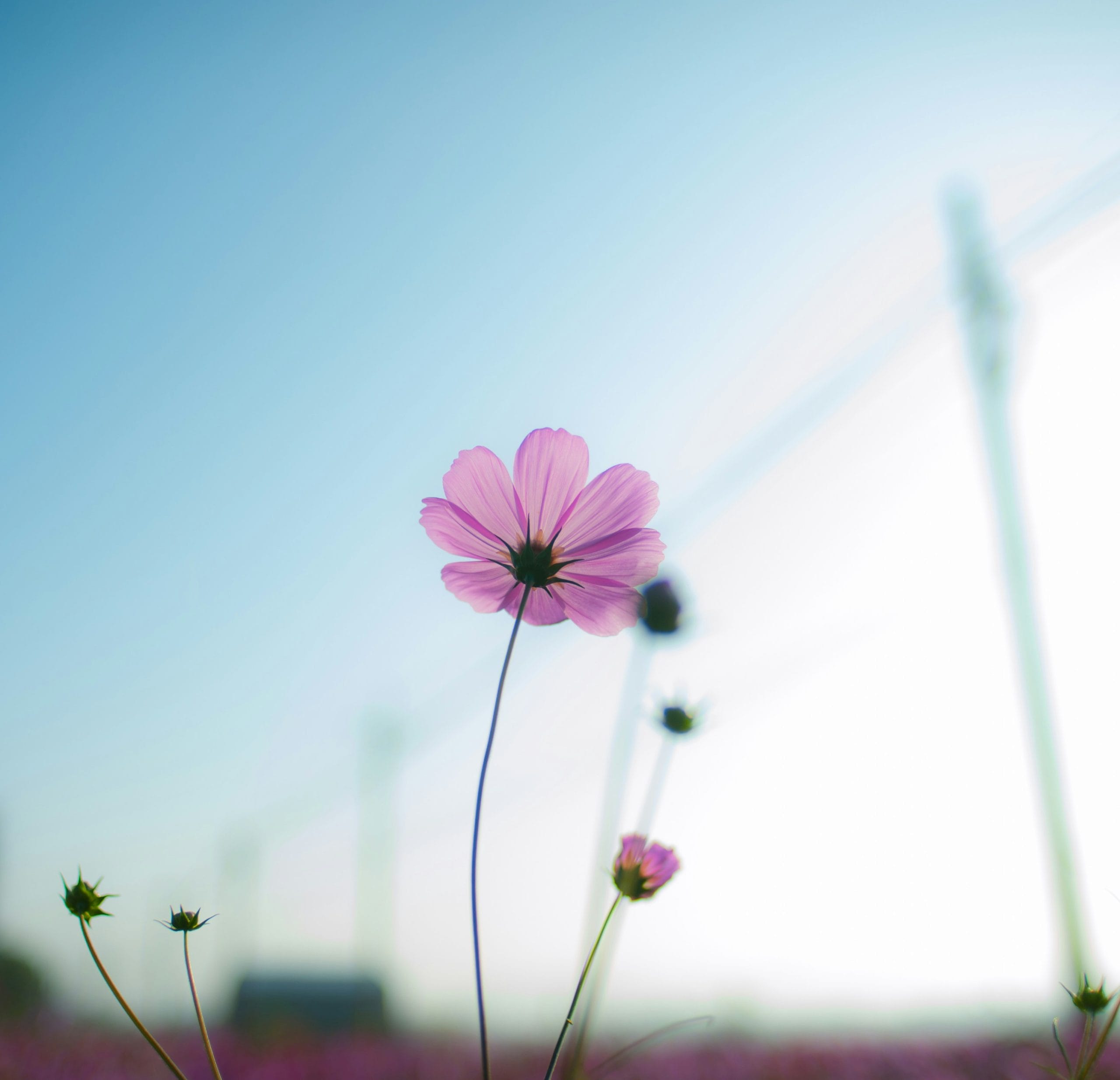 yenpo-chen-F__Hu4ZEl0o-unsplash